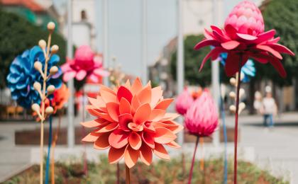 Dvojmetrové kvety v Trnave: Mesto sa zmenilo na rozprávkovú záhradu