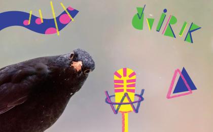 Depešák drozd či Žltochvost domový - letnú Trnavu oživujú operení sólisti